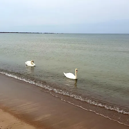 Near Baltic Sea *