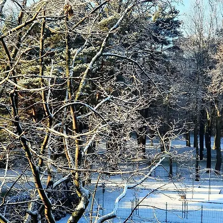 Near Baltic Sea Apartment