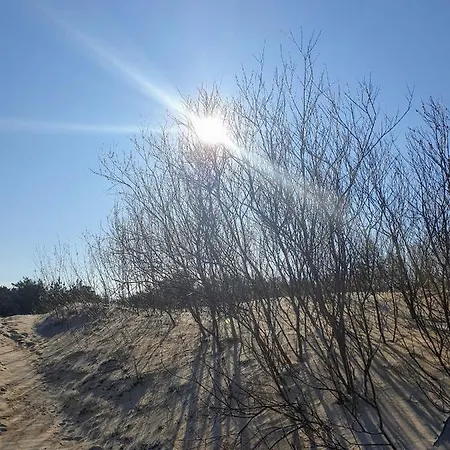 Appartement Near Baltic Sea *