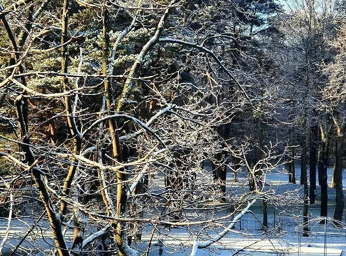 Near Baltic Sea Apartman