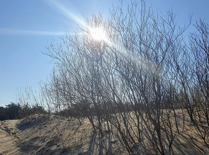 Apartman Near Baltic Sea *